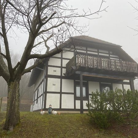 Ferienwohnung Lix Direkt Am Waldrand Frankenau Экстерьер фото