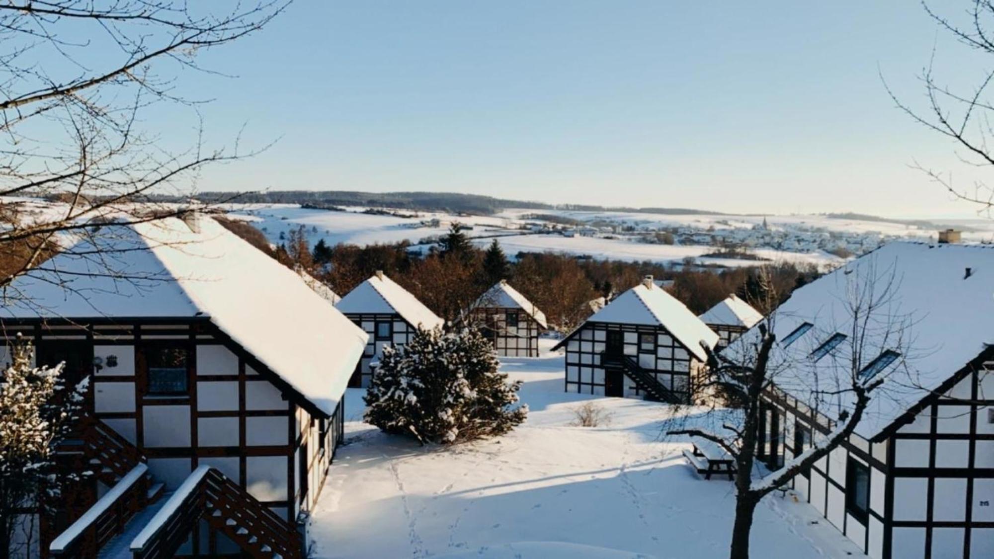 Ferienwohnung Lix Direkt Am Waldrand Frankenau Экстерьер фото