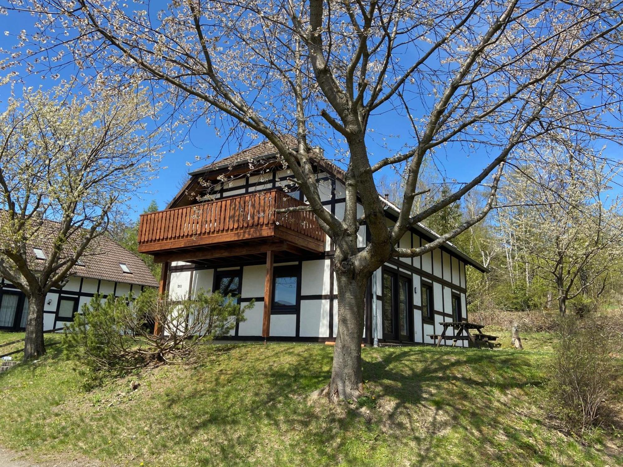 Ferienwohnung Lix Direkt Am Waldrand Frankenau Экстерьер фото